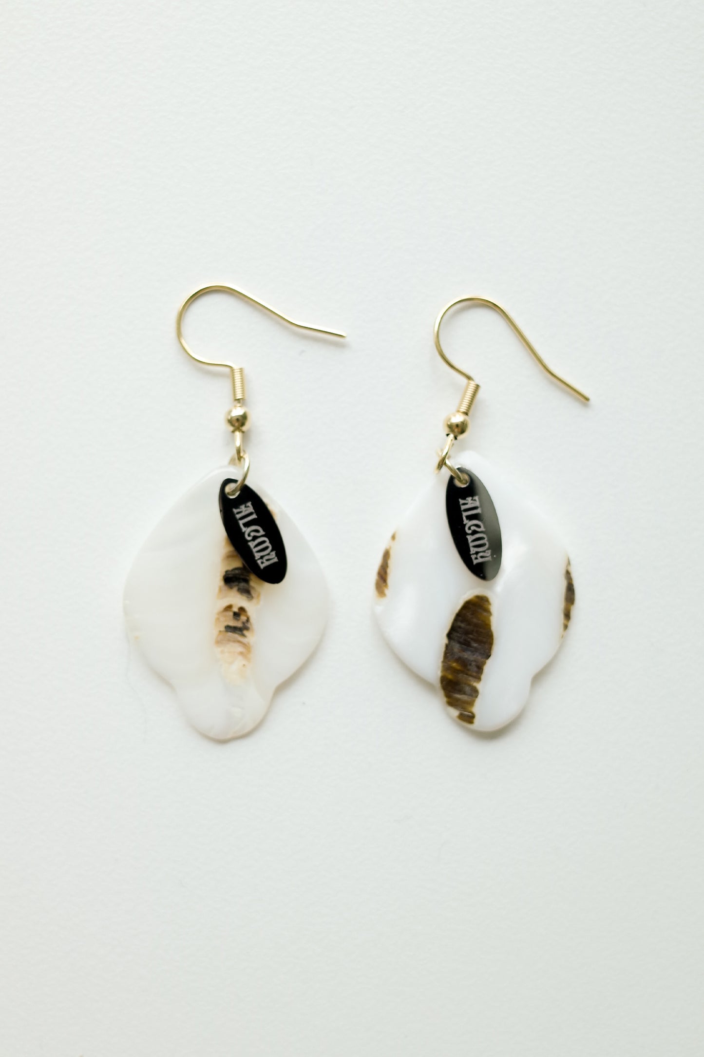 Jagae Shell Earings